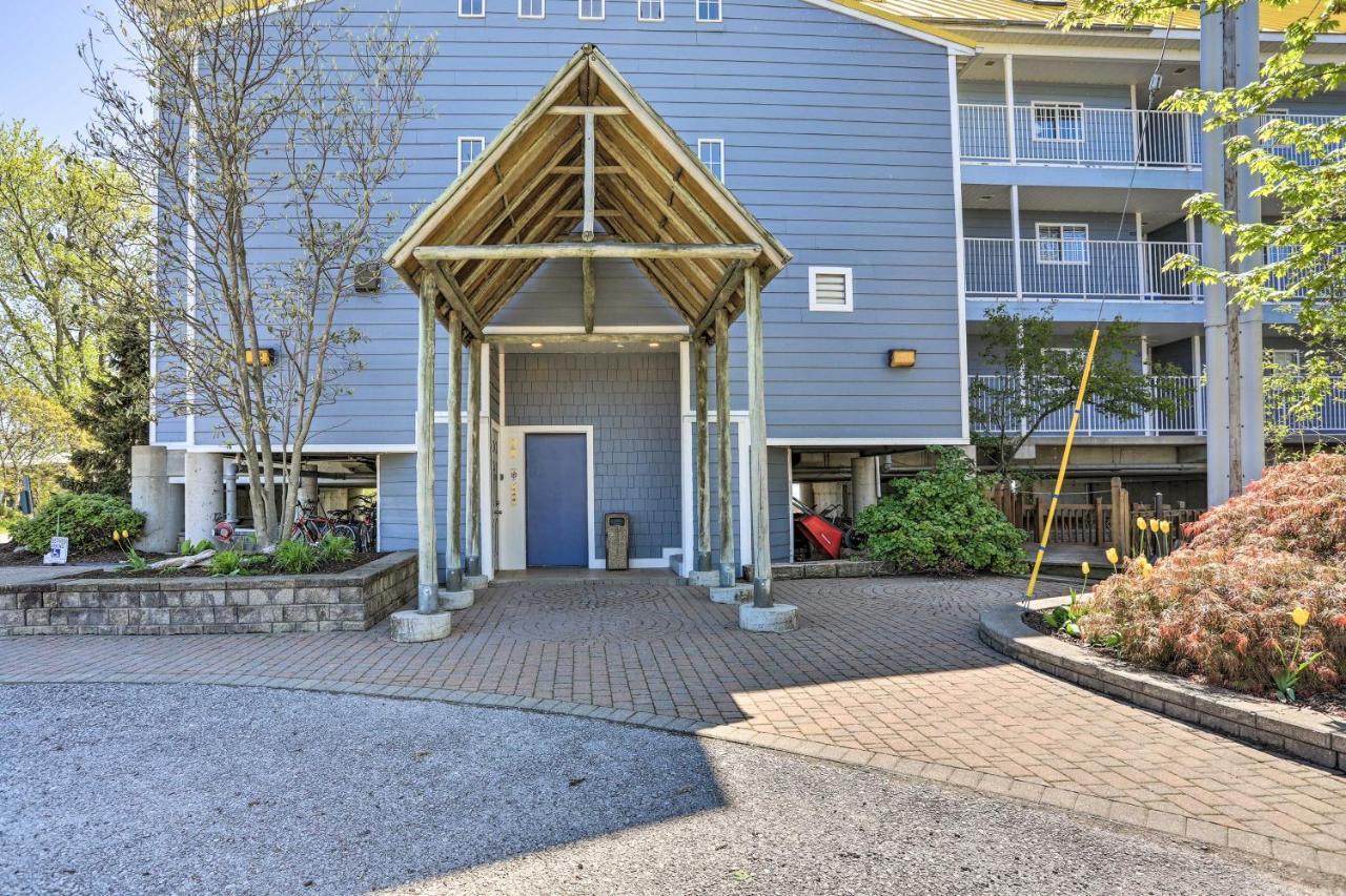 Waterfront Middle Bass Condo With Pool Access! Put-in-Bay Zewnętrze zdjęcie